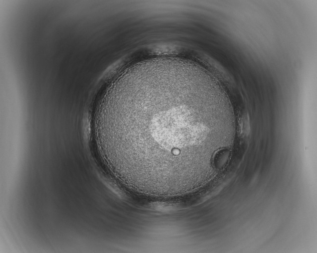 X0000116150733200911301540