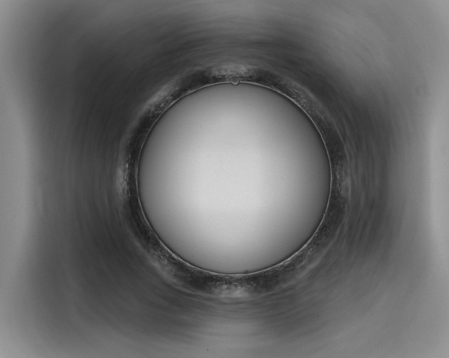 X0000116150735200911301540