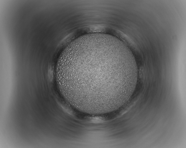 X0000116150741200911301540