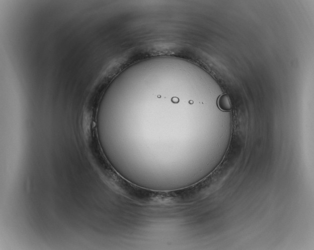 X0000116150742200911301540