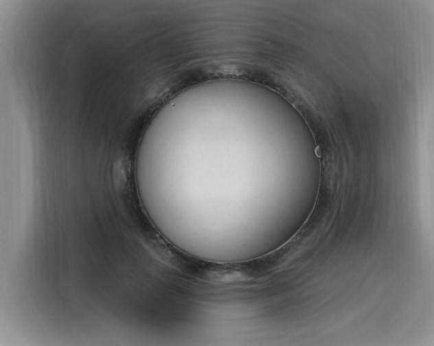 X0000116150747200911301540