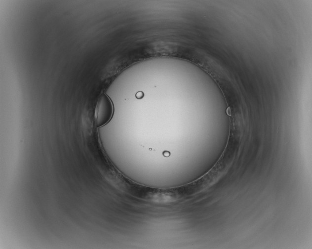 X0000116150751200911301540