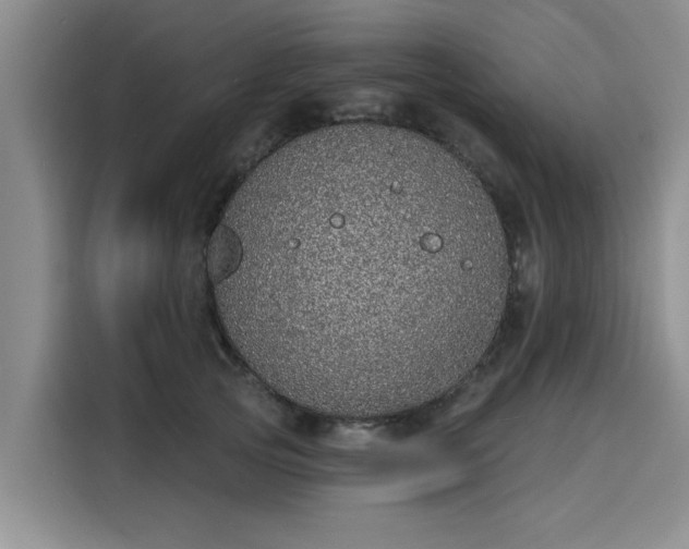 X0000116150753200911301540