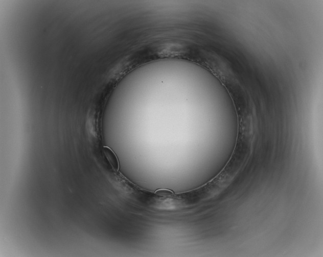 X0000116150755200911301540