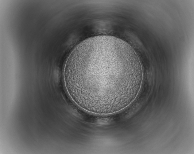 X0000116150757200911301540