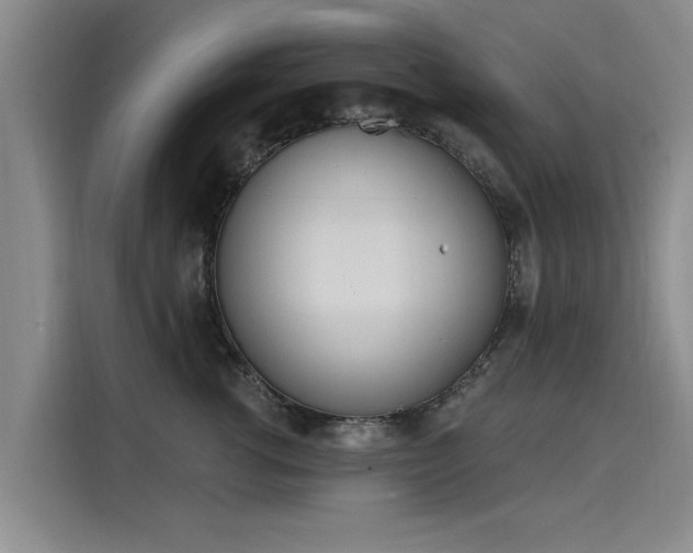 X0000116150762200911301540