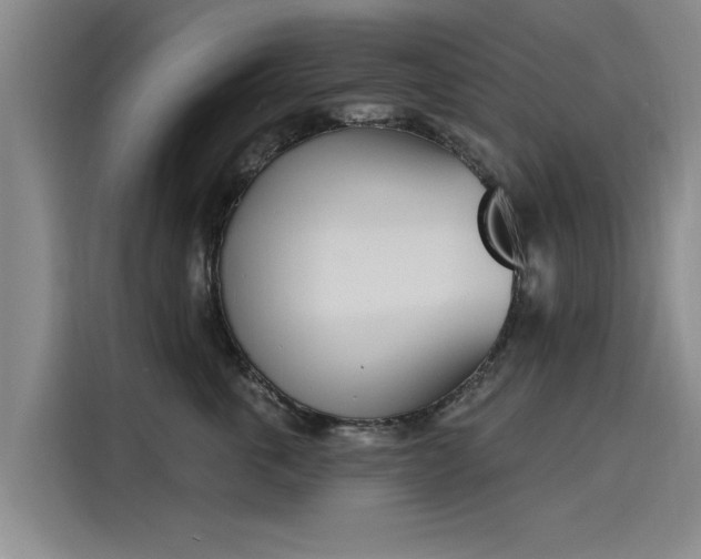 X0000116150763200911301540