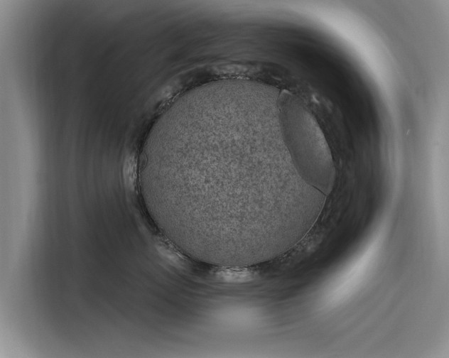 X0000116150767200911301540