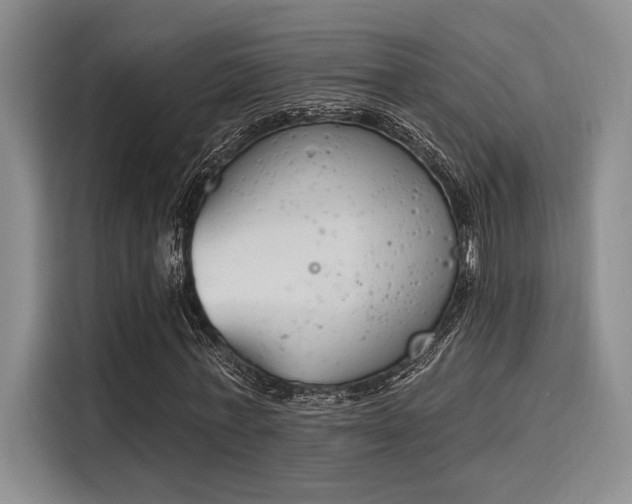 X0000116150771200911301540