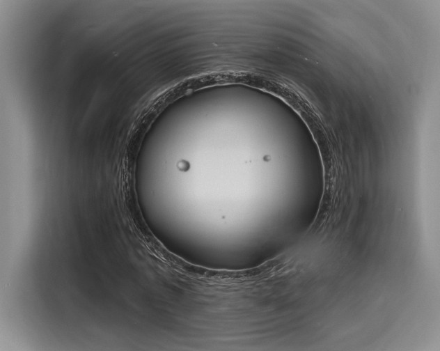 X0000116150773200911301540