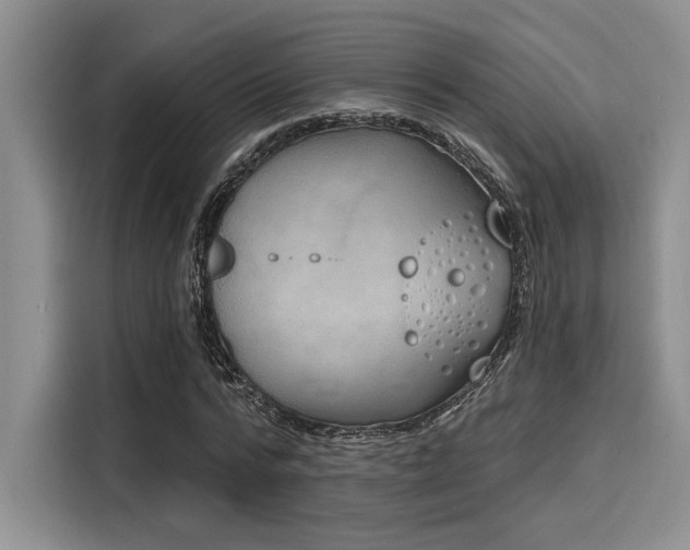 X0000116150776200911301540