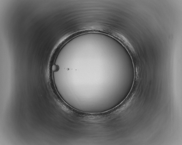 X0000116150780200911301540