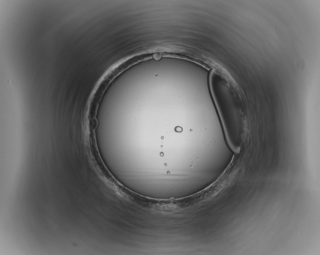 X0000116150784200911301540