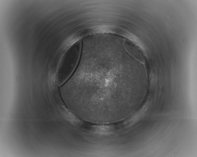 X0000116150785200911301540