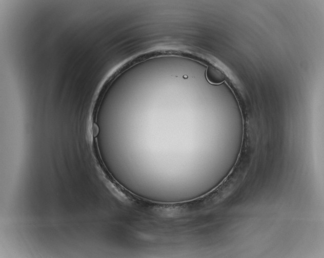 X0000116150791200911301540