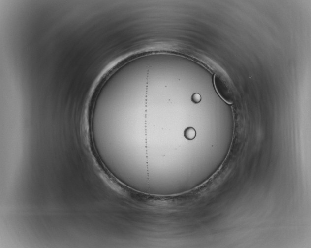 X0000116150792200911301540