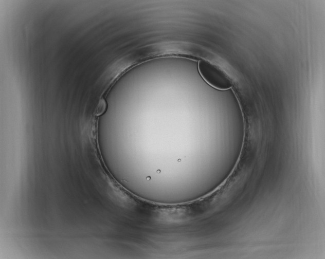 X0000116150793200911301540