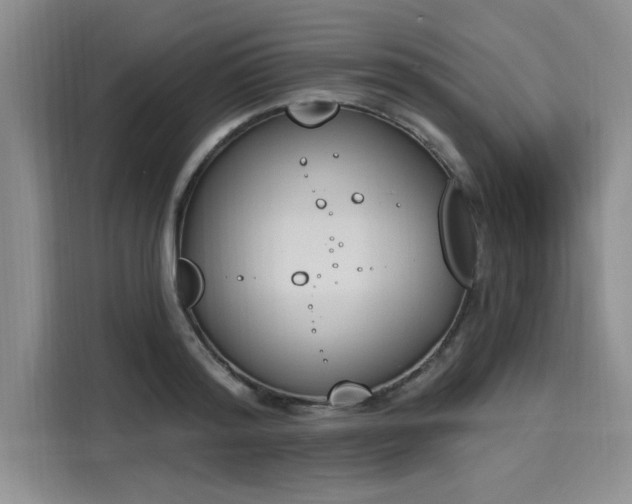 X0000116150796200911301540