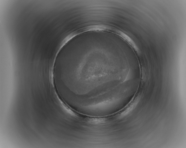 X0000116150802200911301539