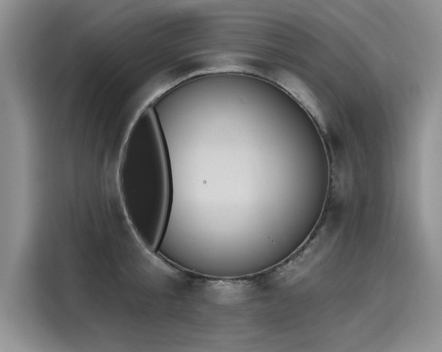 X0000116150805200911301539