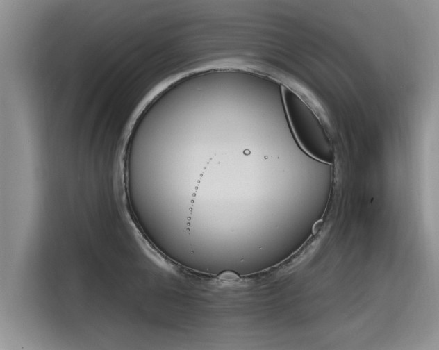 X0000116150808200911301539