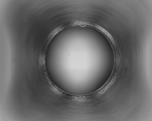 X0000116150809200911301539