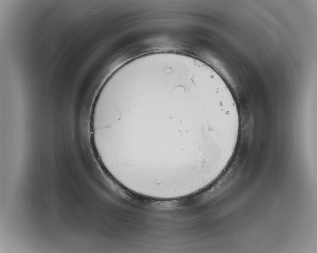 X0000116150810200911301539