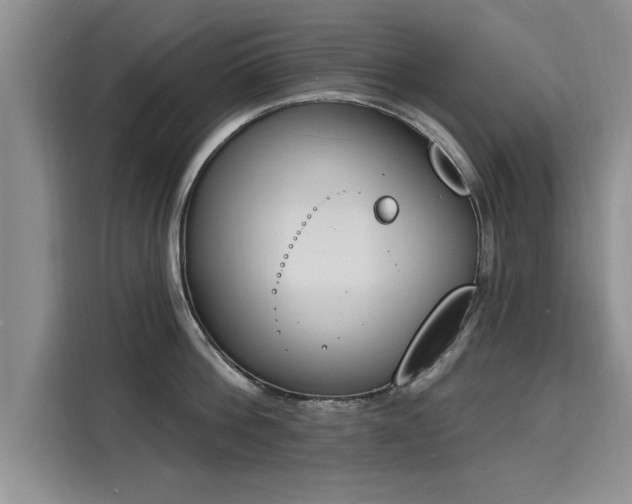 X0000116150812200911301539