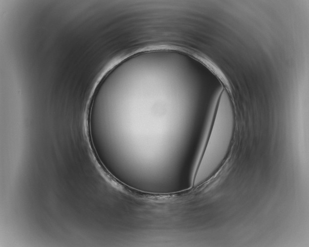 X0000116150813200911301539