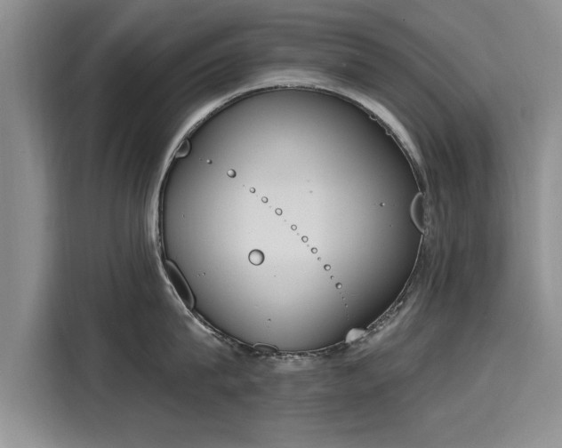 X0000116150815200911301539