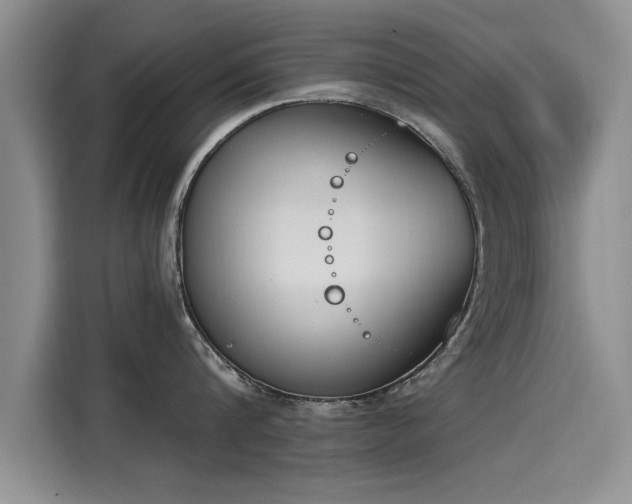 X0000116150816200911301539