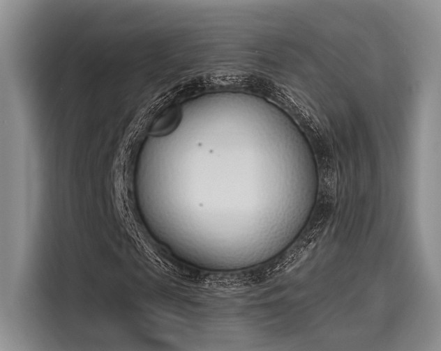 X0000116150817200911301539