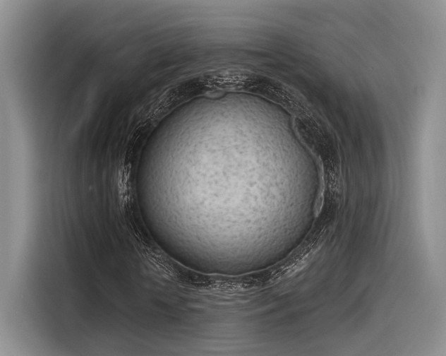 X0000116150818200911301539