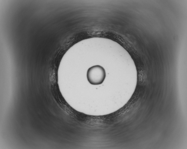 X0000116150820200911301539