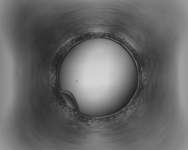 X0000116150821200911301539