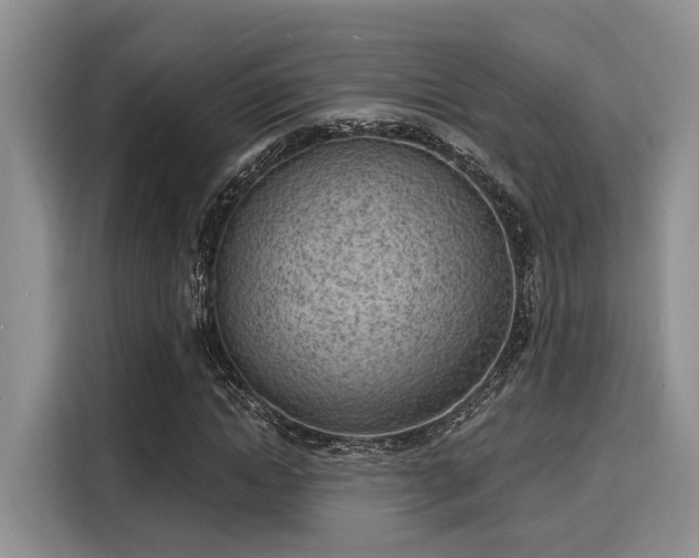 X0000116150822200911301539