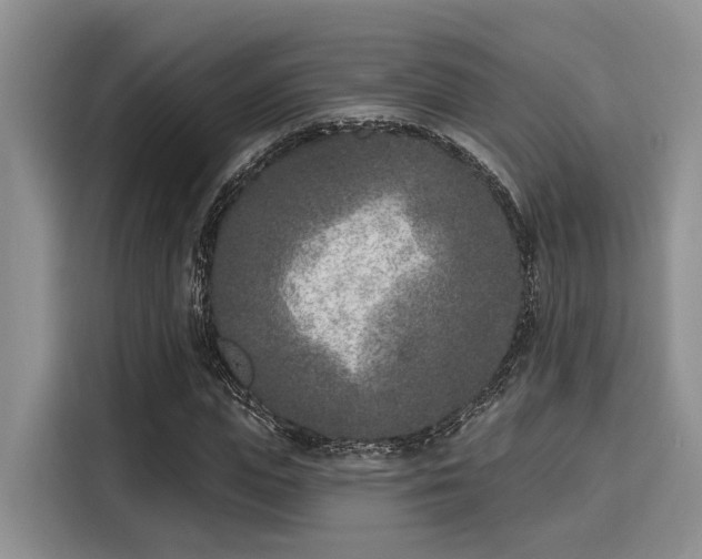 X0000116150823200911301539