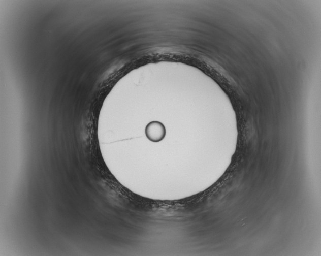 X0000116150824200911301539