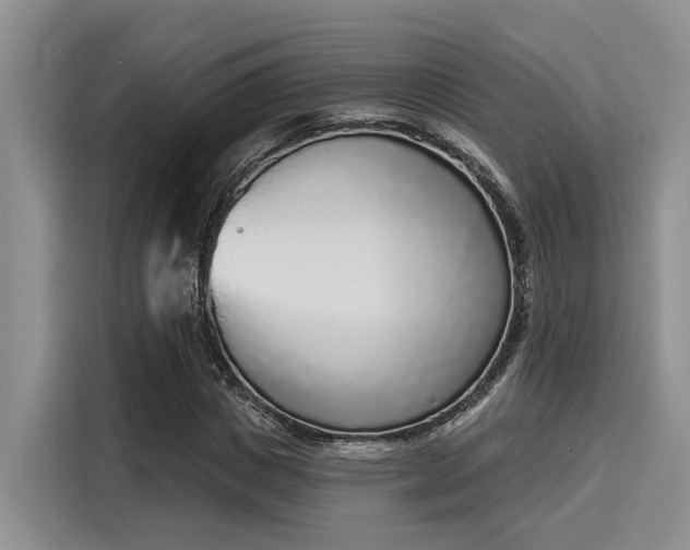 X0000116150825200911301539