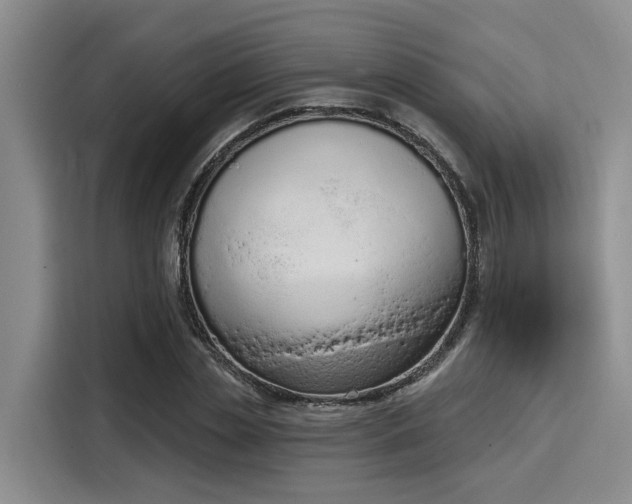 X0000116150829200911301539