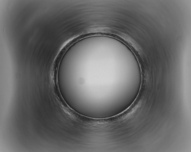 X0000116150830200911301539