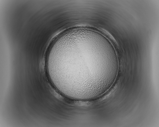 X0000116150831200911301539