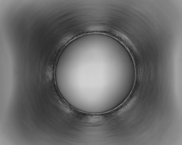 X0000116150833200911301539