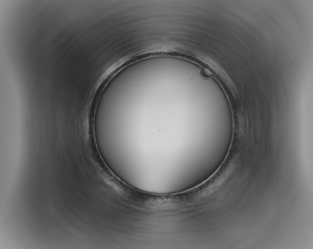 X0000116150834200911301539