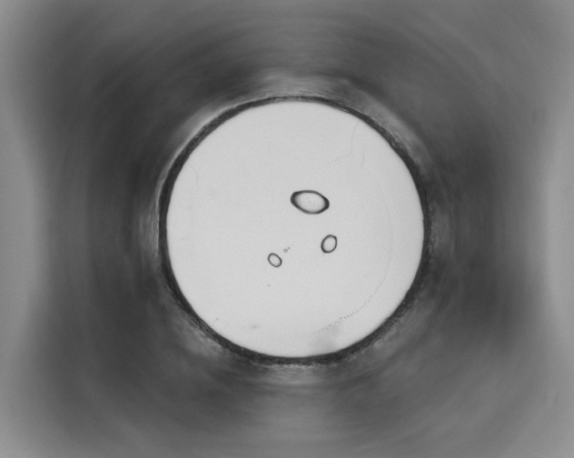 X0000116150836200911301539