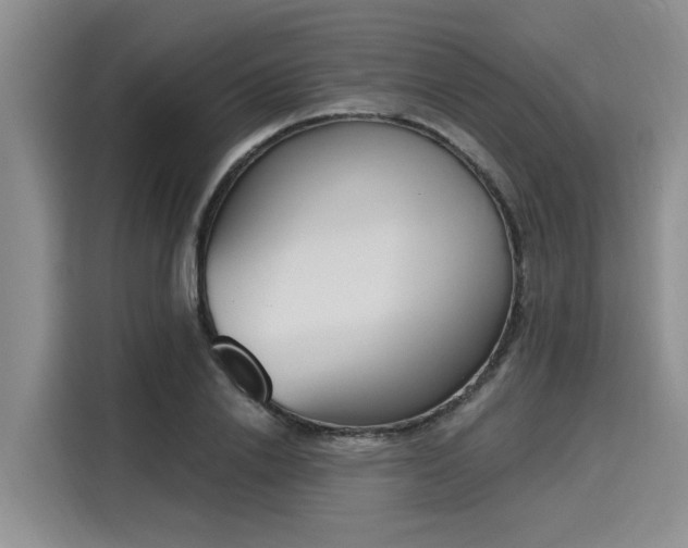 X0000116150838200911301539