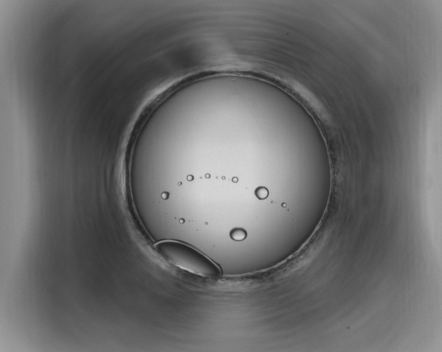 X0000116150840200911301539