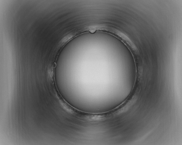 X0000116150841200911301539