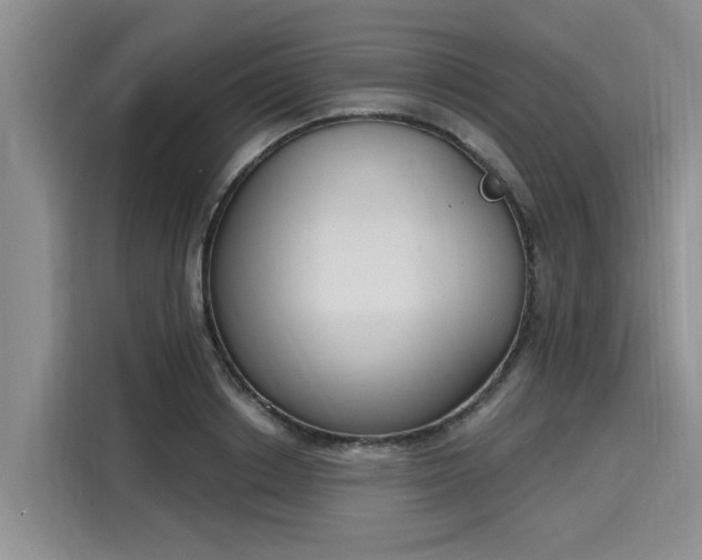 X0000116150842200911301539