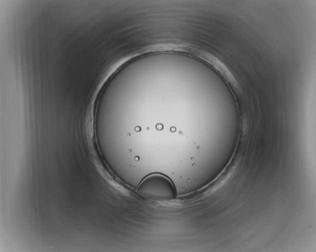 X0000116150844200911301539